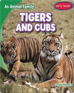 Tigers and Cubs