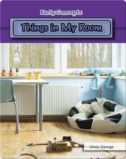 Things in My Room