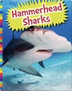 Hammerhead Sharks