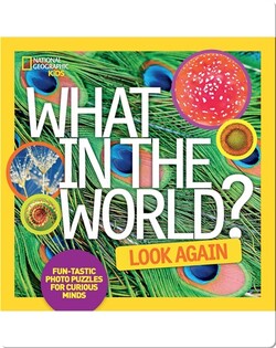 What in the World: Look Again