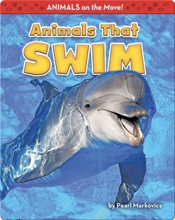 Animals That Swim