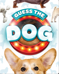 Guess the Dog