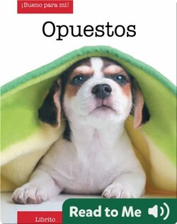 Opuestos (opposites)