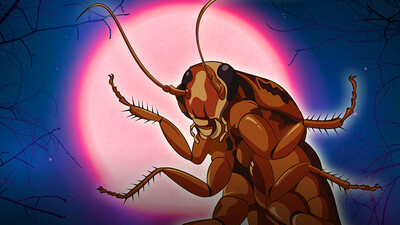 Why Cockroaches Are So Hard To Kill
