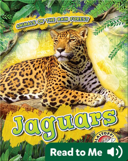 Jaguars