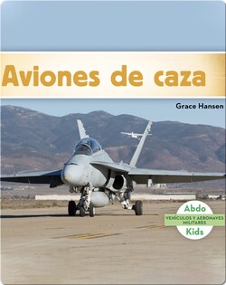 Aviones de caza