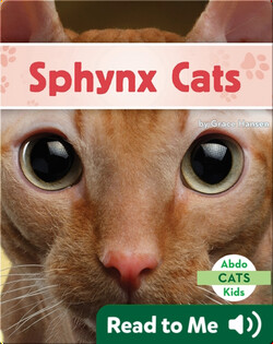 Sphynx Cats