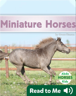Miniature Horses