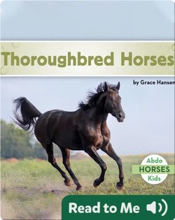 Thoroughbred Horses
