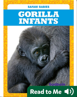 Gorilla Infants