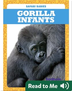 Gorilla Infants