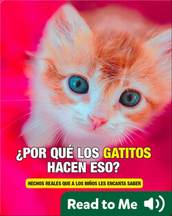 ¿Por Que los Gatitos Hacen Eso?