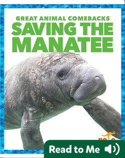 Saving the Manatee