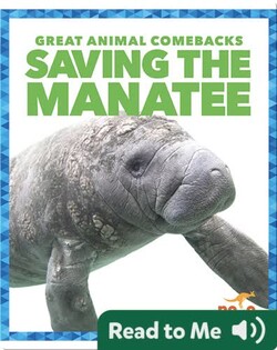 Saving the Manatee