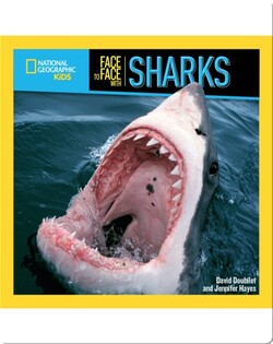 Face to Face with Sharks