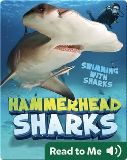 Hammerhead Sharks