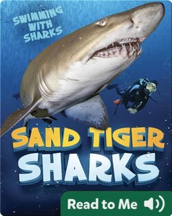Sand Tiger Sharks