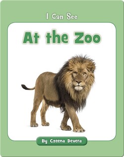 At the Zoo