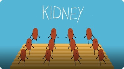 The Kidney That Lived in 4 People