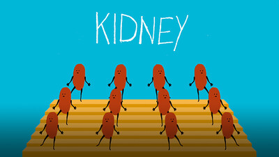 The Kidney That Lived in 4 People