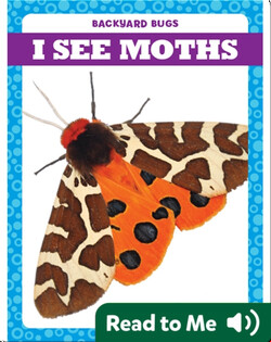 I See Moths