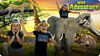 Learn All About the Wild Animals at the Zoo