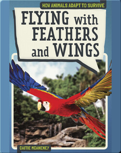 Flying with Feathers and Wings