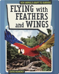 Flying with Feathers and Wings
