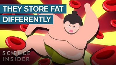 How Sumo Wrestlers Stay Healthy On 7,000 Calories A Day