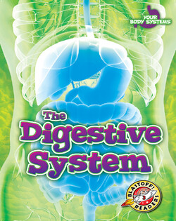 The Digestive System