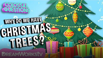 Why Do We Have Christmas Trees? | COLOSSAL QUESTIONS