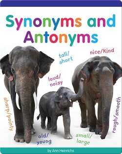 Synonyms and Antonyms