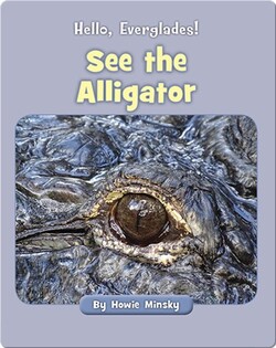 Hello, Everglades!: See the Alligator