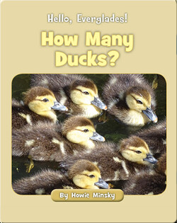 Hello, Everglades!: How Many Ducks?