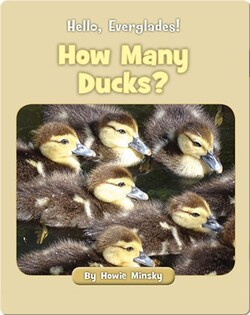 Hello, Everglades!: How Many Ducks?