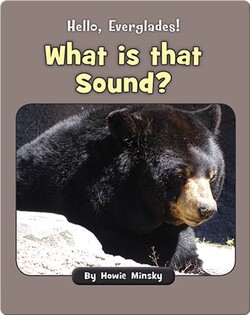 Hello, Everglades!: What is that Sound?