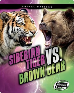 Animal Battles: Siberian Tiger vs. Brown Bear