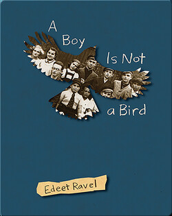 A Boy Is Not a Bird