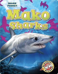 Shark Frenzy: Mako Sharks