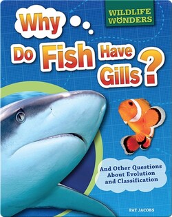 Wildlife Wonders: Why Do Fish Have Gills?