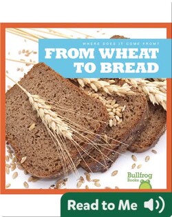 Where Does It Come From?: From Wheat to Bread