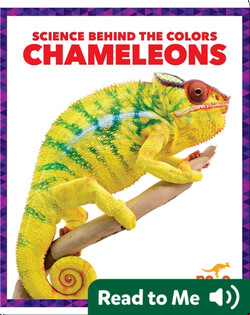 Science Behind the Colors: Chameleons