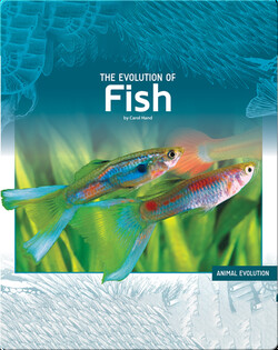 The Evolution of Fish