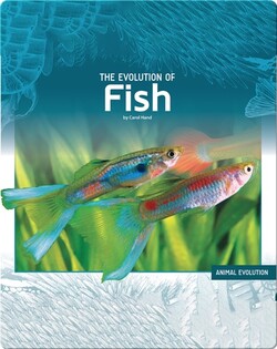 The Evolution of Fish