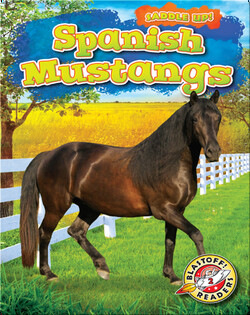 Saddle Up!: Spanish Mustangs