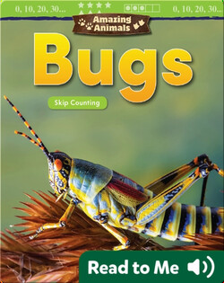 Amazing Animals: Bugs: Skip Counting