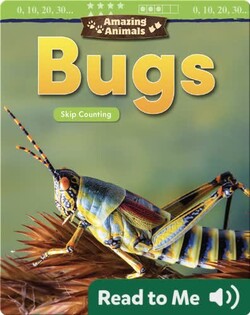 Amazing Animals: Bugs: Skip Counting