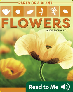 Parts of a Plant: Flowers