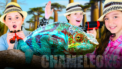 Learn About Chameleons with The Wild Adventure Girls!