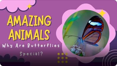 Amazing Animals: Why are Butterflies Special?